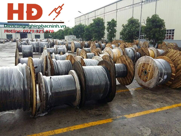 Kho dây cáp điện Cadisun Kho dây cáp điện Cadisun